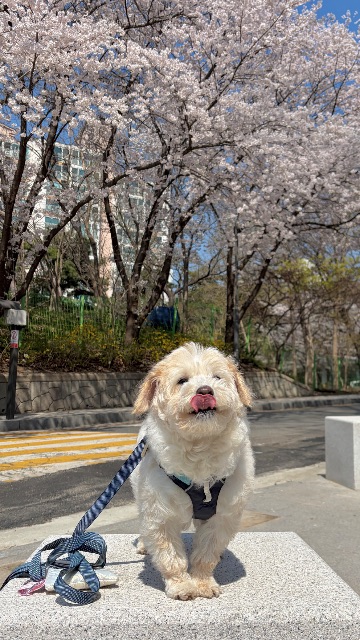 임동동의 추모 사진