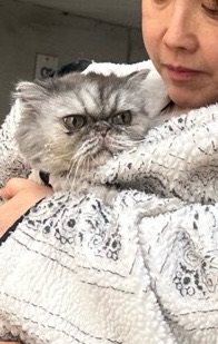 승룡이의 추모 사진