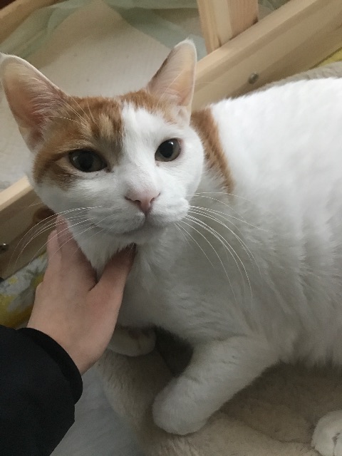 옹삼의 추모 사진