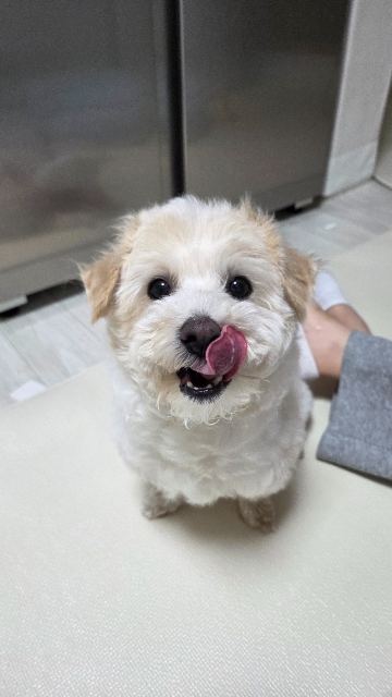 임동동❤️의 추모 사진