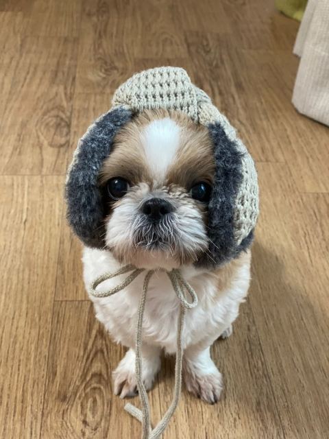 썬🌞의 추모 사진