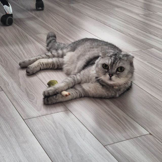 포르의 추모 사진