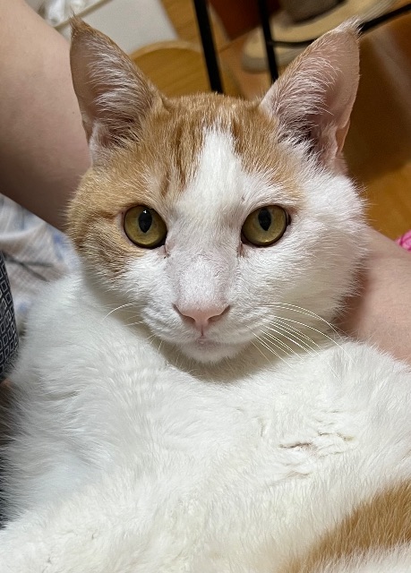 치치의 추모 사진