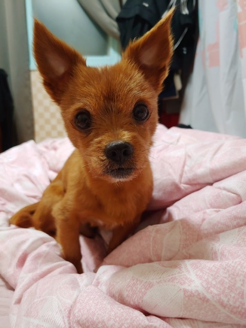 제리의 추모 사진