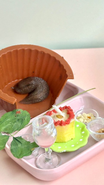 낙지의 추모 사진