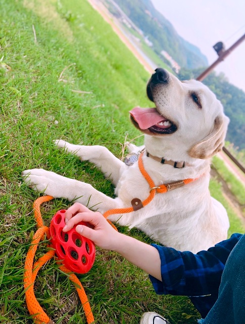다리의 추모 사진