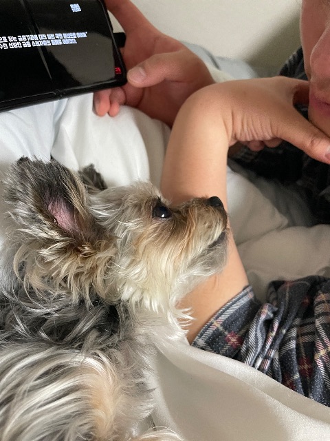몽실의 추모 사진