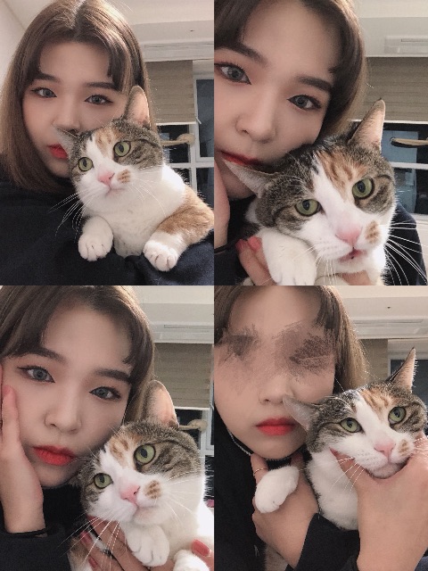 루저의 추모 사진
