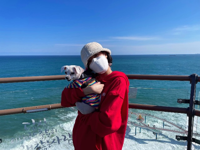 콩순이의 추모 사진