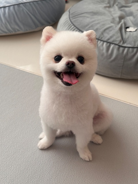 알밤의 추모 사진
