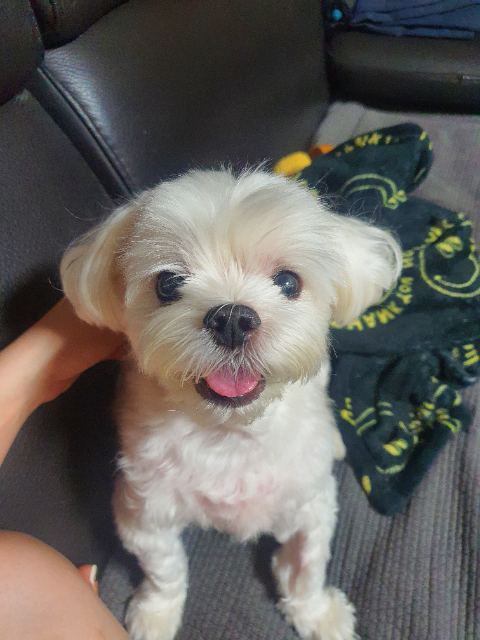 달의 추모 사진