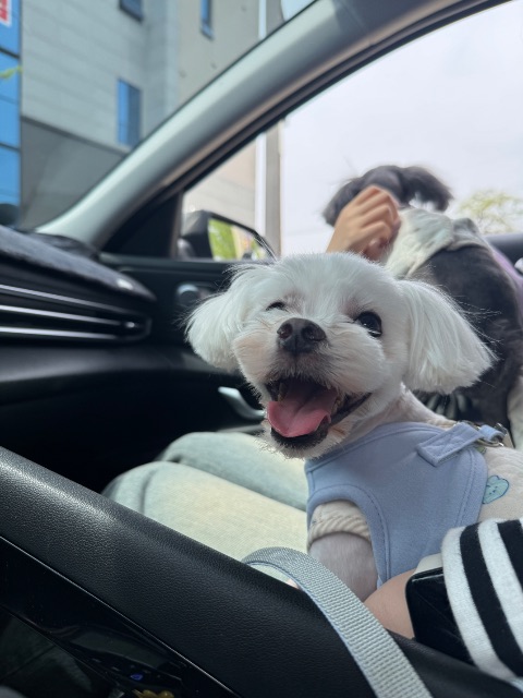 박밀크의 추모 사진
