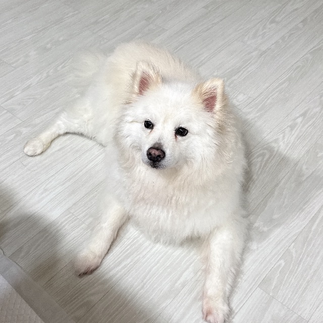 구름의 추모 사진