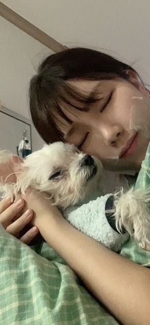 쵸니의 추모 사진