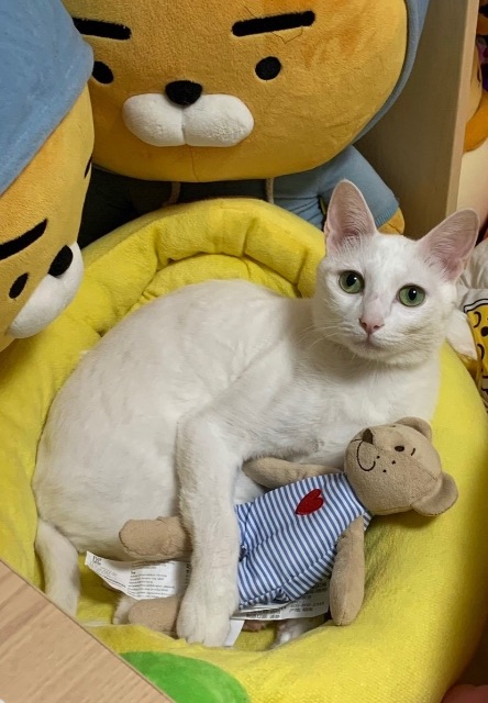 조랭의 추모 사진