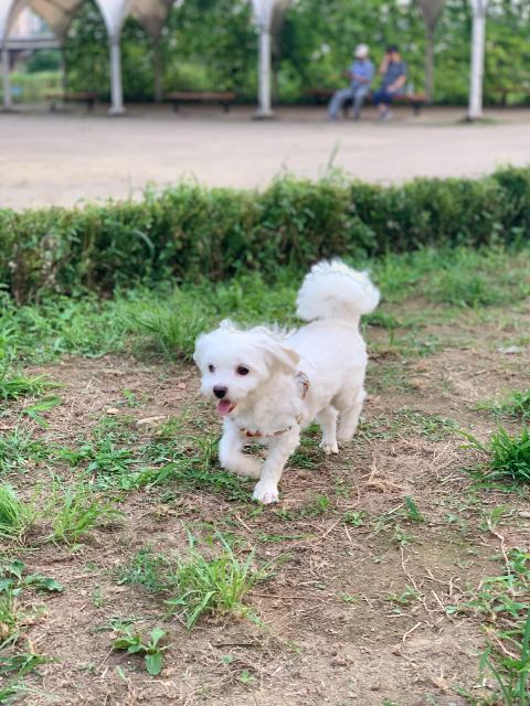 뻐끔이의 추모 사진