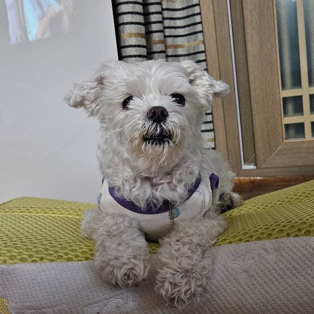 이금순의 추모 사진
