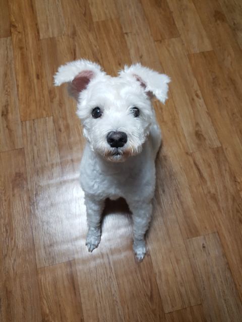 김몽실의 추모 사진