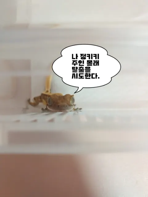 키키의 추모 사진