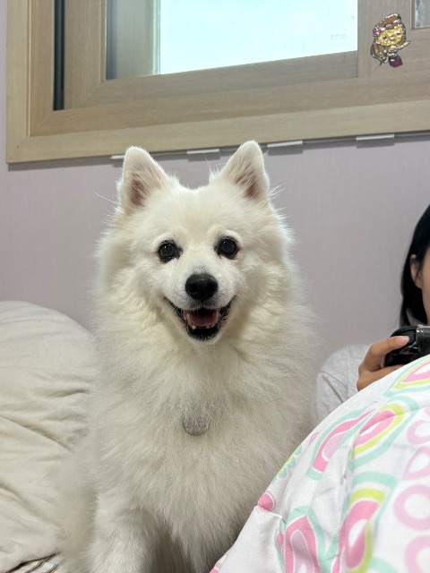오딘의 추모 사진