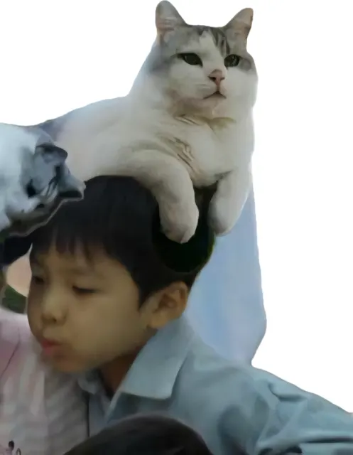 묘묘의 추모 사진