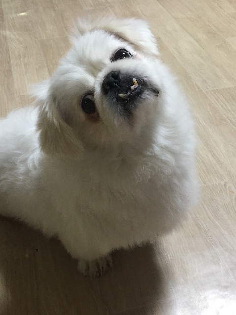 바다의 추모 사진