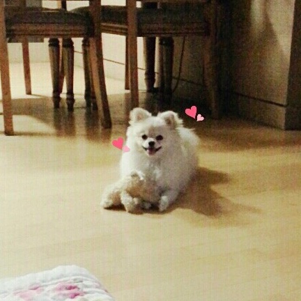 정애기의 추모 사진