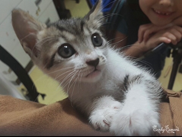 띵이의 추모 사진