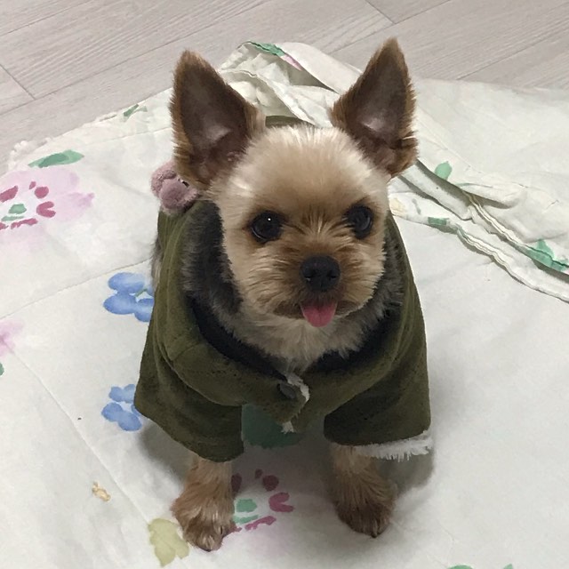 건이의 추모 사진