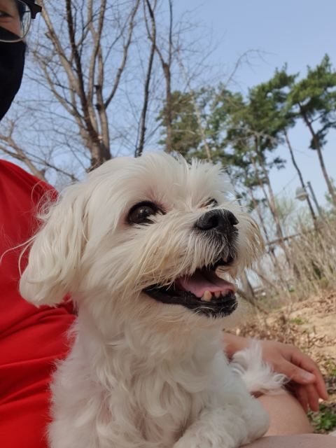 딱지의 추모 사진