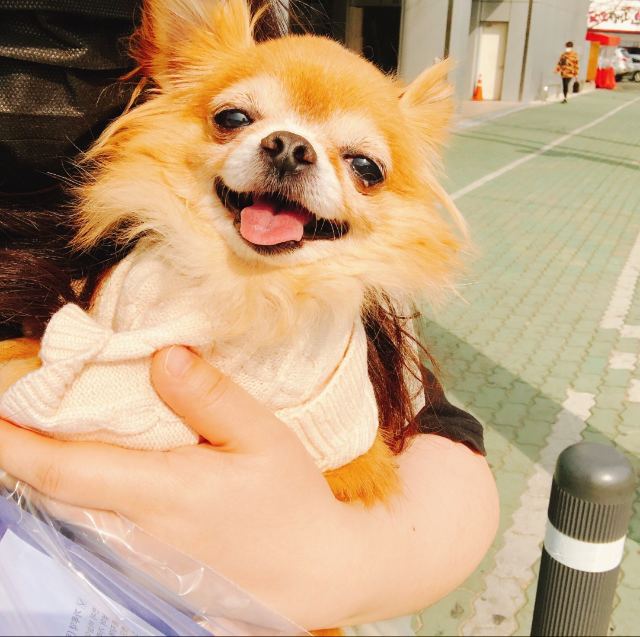 김둥의 추모 사진