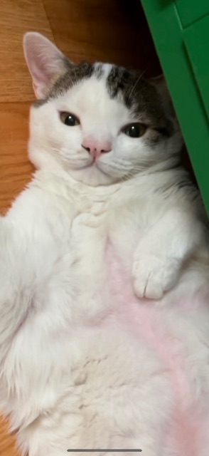 희동의 추모 사진