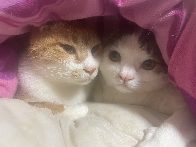 두희의 추모 사진