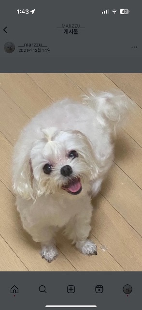 마스의 추모 사진