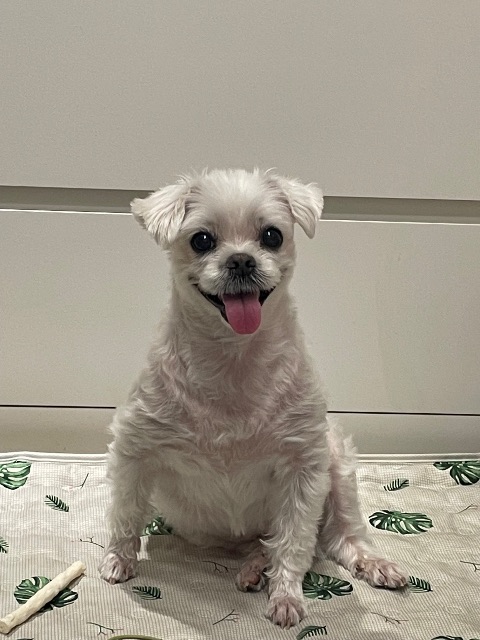 하루의 추모 사진
