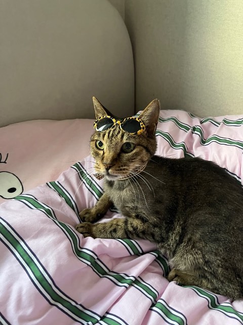 키키의 추모 사진