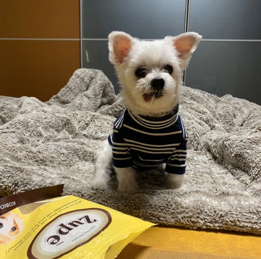 김다롱의 추모 사진
