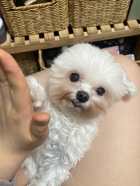 연두의 추모 사진