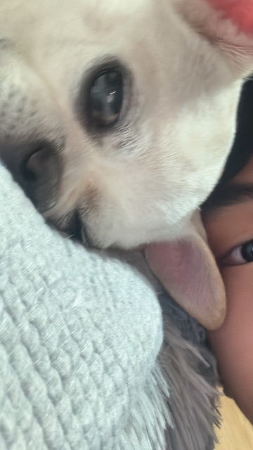 우디의 추모 사진