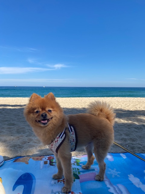황몽실🤍의 추모 사진