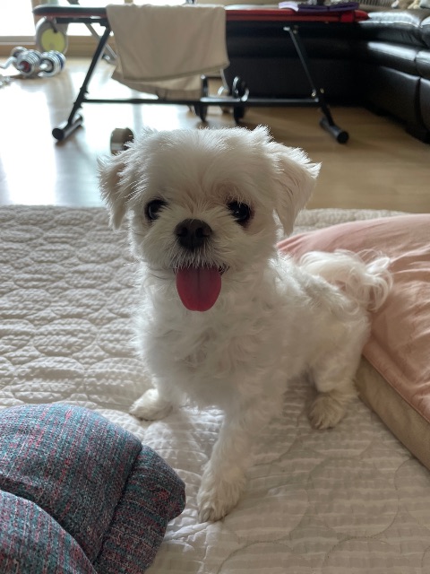 이쁜이의 추모 사진