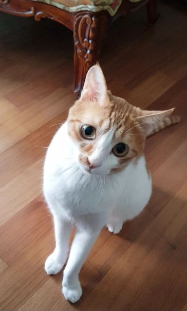 김달곤의 추모 사진