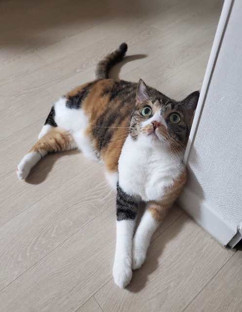 옹희의 추모 사진