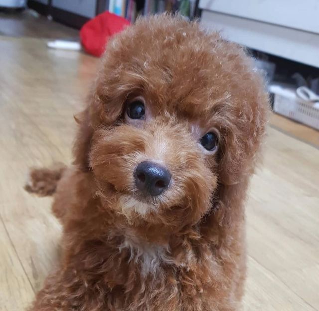 오월의 추모 사진