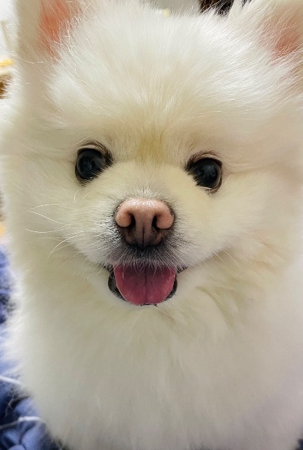 덕구의 추모 사진
