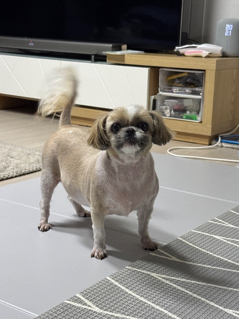 샛별의 추모 사진