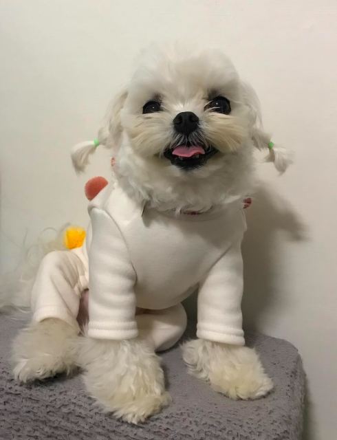 철이의 추모 사진