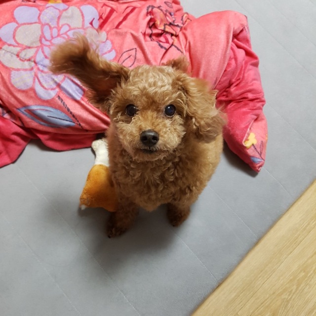 강거봉의 추모 사진