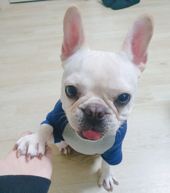 차호박의 추모 사진