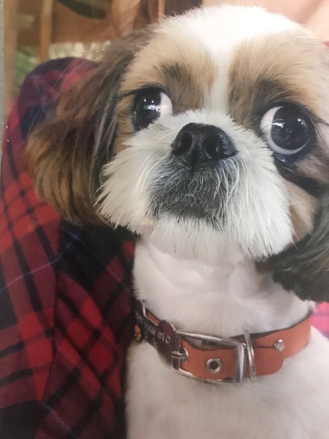 박겨울의 추모 사진